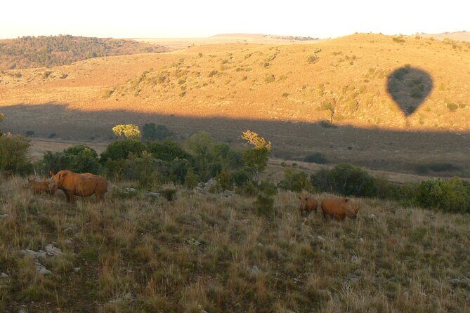 Exclusive Safari Flight - Frequently Asked Questions