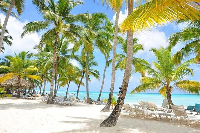 exclusive-saona-island-adventure-for-private-groups-in-punta-cana