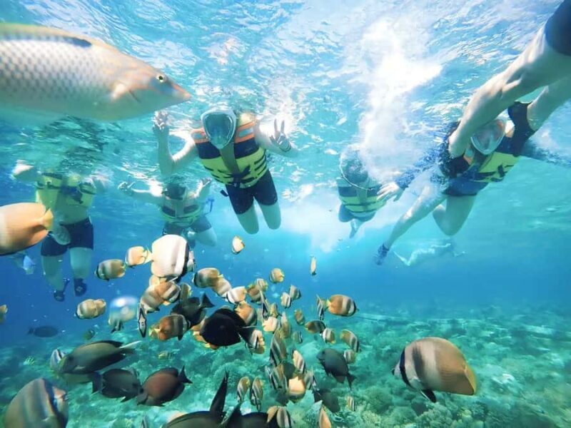 Exclusive Snorkeling Tour to Lombok's Pink Beach and 3 Gilis - An In-Depth Look at the Tour Experience