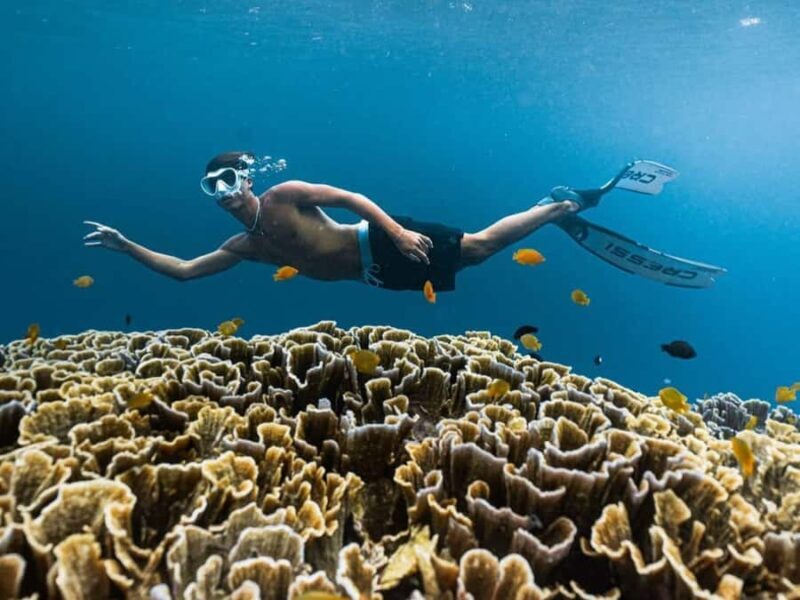 Exclusive Snorkeling Tour to Lombok's Pink Beach and 3 Gilis - FAQ