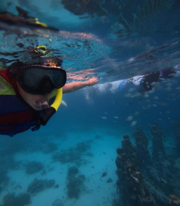 Exclusive Snorkeling trip Gili Terawangan Meno and Air - Exploring the Gili Islands in Style and Comfort