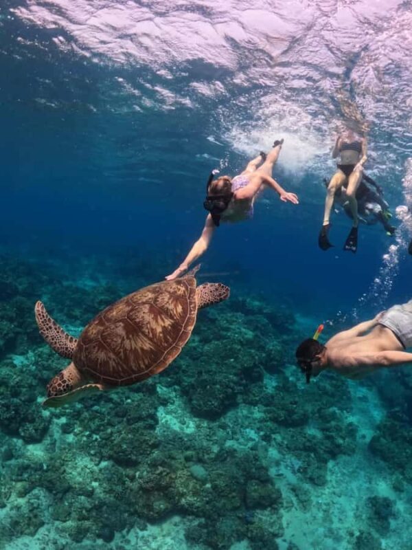 Exclusive Snorkeling trip Gili Terawangan Meno and Air - Special Public Sunset Snorkeling