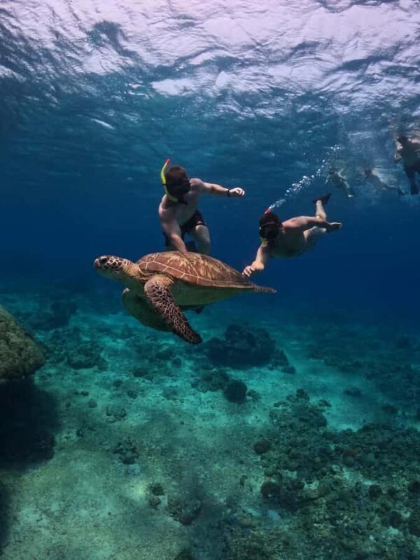 Exclusive Snorkeling trip Gili Terawangan Meno and Air - The Total Experience: A Balance of Adventure and Relaxation