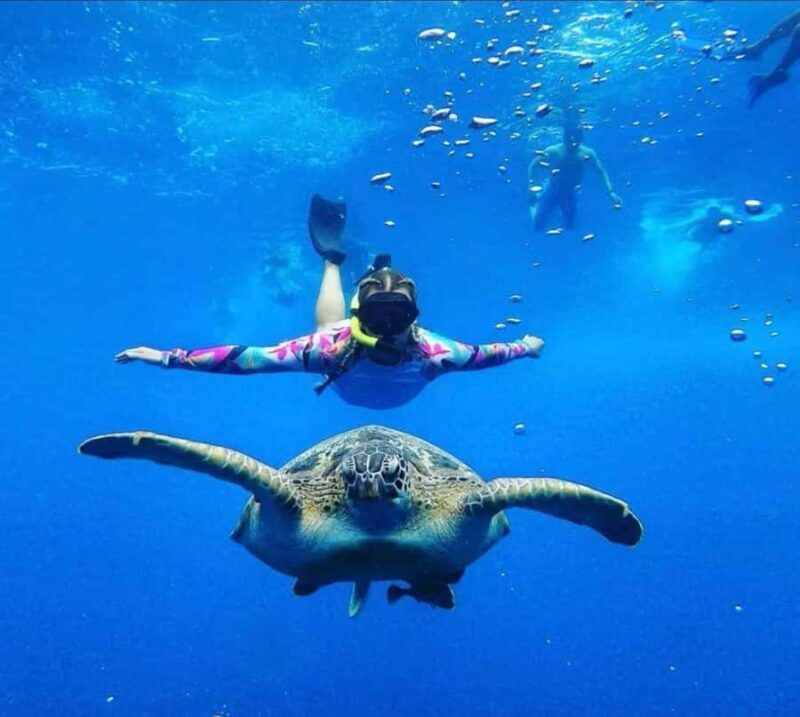 Exclusive Snorkeling trip Gili Terawangan Meno and Air - Final Thoughts