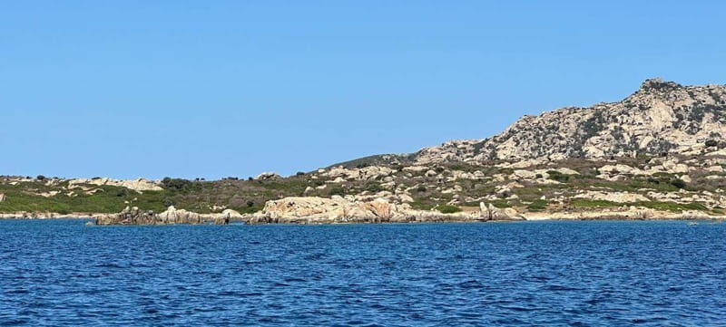 Exclusive sunset boat trip in the Asinara National Park - Key Points