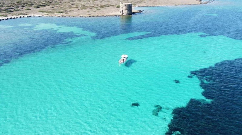 Exclusive sunset boat trip in the Asinara National Park - An Unforgettable Way to Experience Sardinia’s Coast