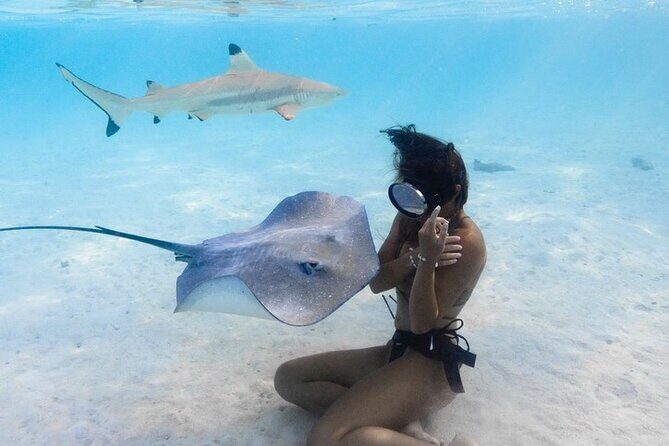 Exclusive sunset excursion in the lagoon Shark rays - Practical Considerations