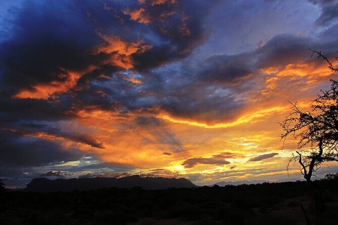 Exclusive Sunset Game Drive Safari near Hoedspruit - Key Points