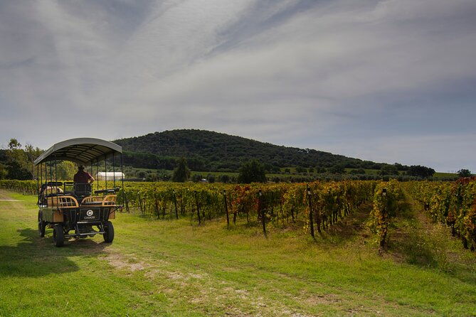 exclusive-suvereto-tour-from-florence-land-of-elisa-bonaparte