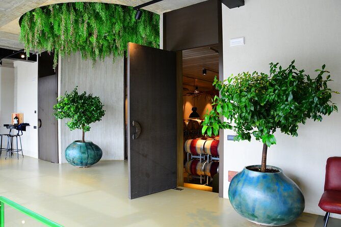 exclusive-suvereto-tour-from-florence-land-of-elisa-bonaparte