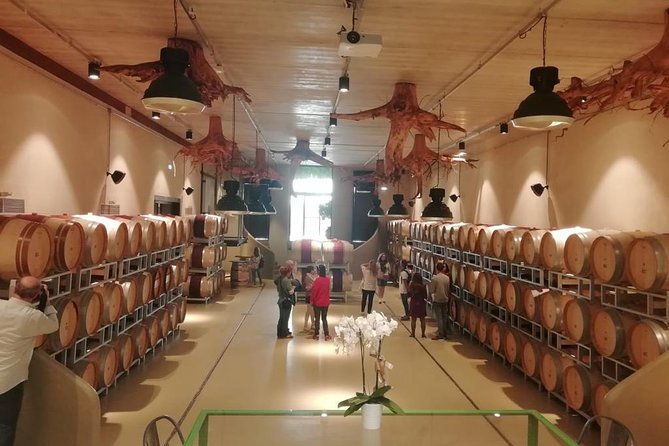 exclusive-suvereto-tour-from-florence-land-of-elisa-bonaparte