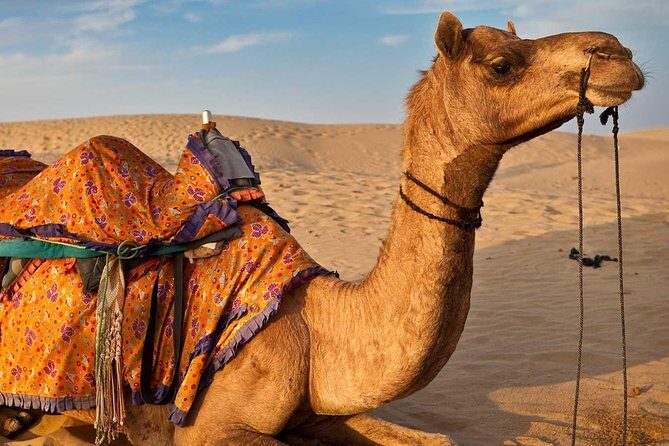 Exclusive Tangier City Tour  Private Experience - Pricing and Value