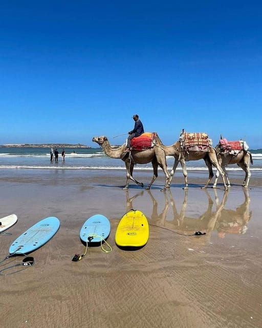 exclusive-tangier-day-tour-from-tarifa-with-tea