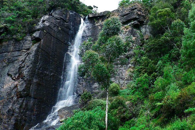 Exclusive: Tea Gardens and Waterfalls of Nuwara Eliya by Tuk-Tuk - Final Thoughts