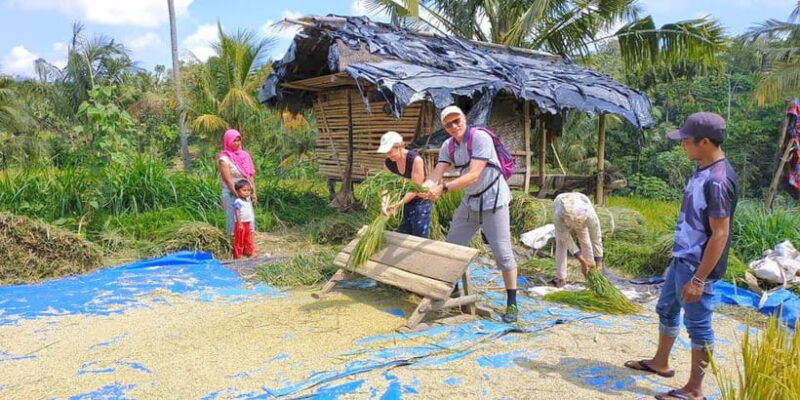 exclusive-tetebatu-waterfall-rice-fields-monkey-weaving