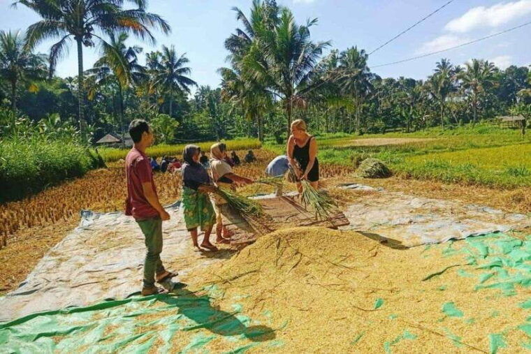 exclusive-tetebatu-waterfall-rice-fields-monkey-weaving