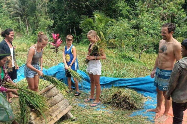 exclusive-tetebatu-waterfall-rice-fields-monkey-weaving