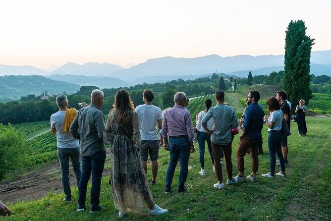 exclusive-tour-of-the-vineyards-with-visit-to-the-cellar-2
