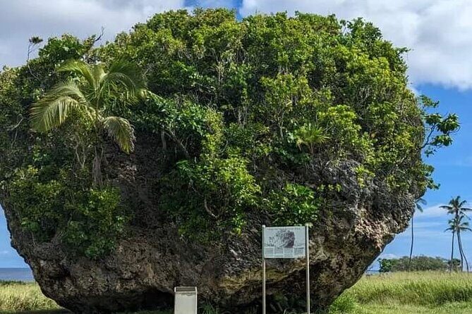 Exclusive Tour of Tongatapu - Practical Tips for Travelers
