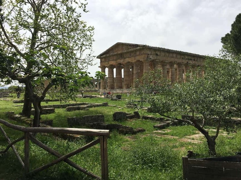 Exclusive Tour: Paestum Excavations and Cheese Factory Visit with Tasting and Lunch - Exploring the Paestum Excavations and Cheese Factory Tour: An Authentic Campania Experience