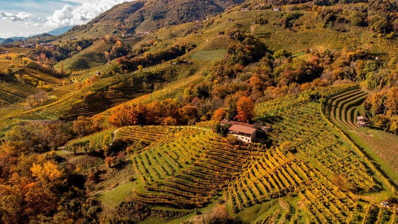 Exclusive Tour through the Riva Gemin - Key Points