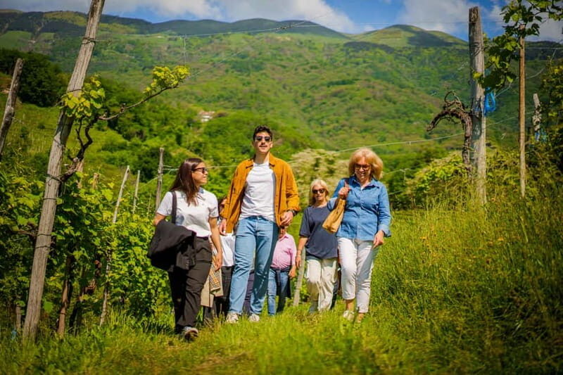 Exclusive Tour through the Riva Gemin - Walking Amongst the Vines: Why It Matters