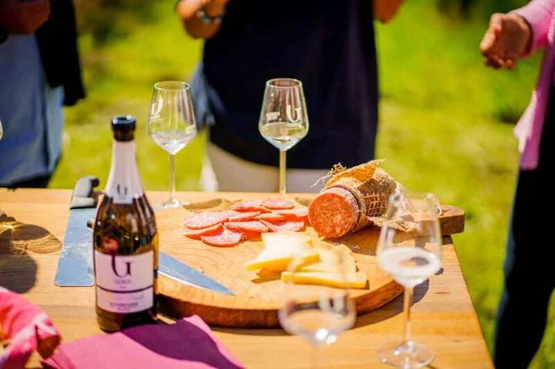 Exclusive Tour through the Riva Gemin - Tasting in the Vineyard and Beyond