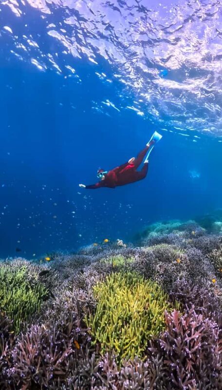 Exclusive Tour:Gili Nanggu, Sudak & Kedis Free Lunch + GoPro - Final Thoughts