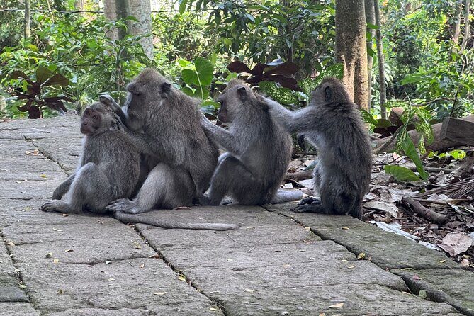 Exclusive Ubud Experience: Nature, Culture & Adventure in One Day - FAQ About the Ubud Experience