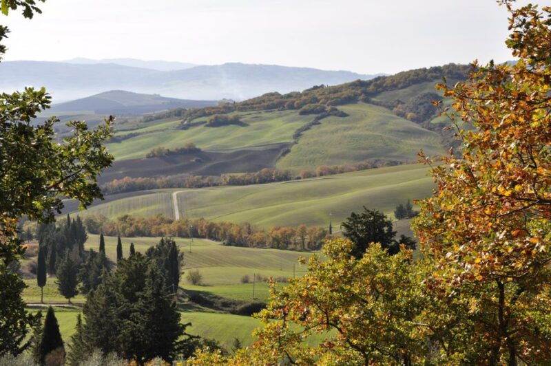 exclusive-val-dorcia-full-day-wine-tour-from-florence