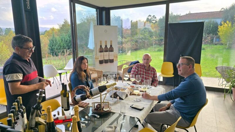 exclusive-vinho-verde-green-wine-experience-lunch