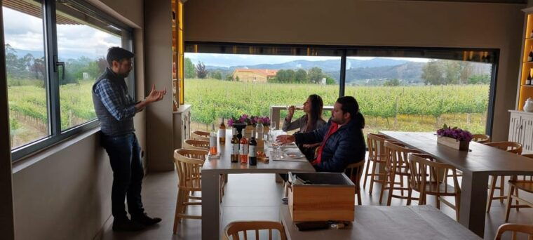 exclusive-vinho-verde-green-wine-experience-lunch