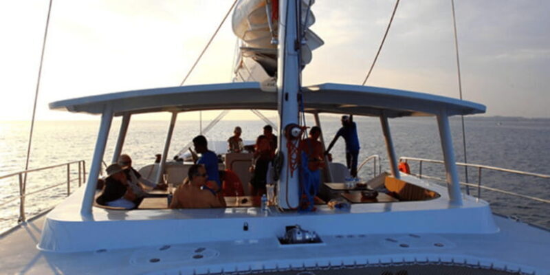 Exclusive: Whale and Dolphin Watching Tour with Transfers - What Makes This Tour Special?