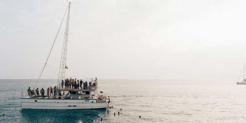 Exclusive: Whale and Dolphin Watching Tour with Transfers - The Sum Up