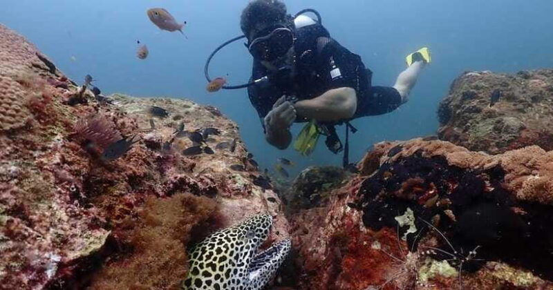 exclusive-whale-dolphin-tours-in-sri-lanka-trincomalee