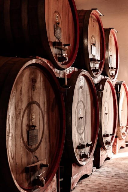 exclusive-wine-experience-venetian-best-vineyards