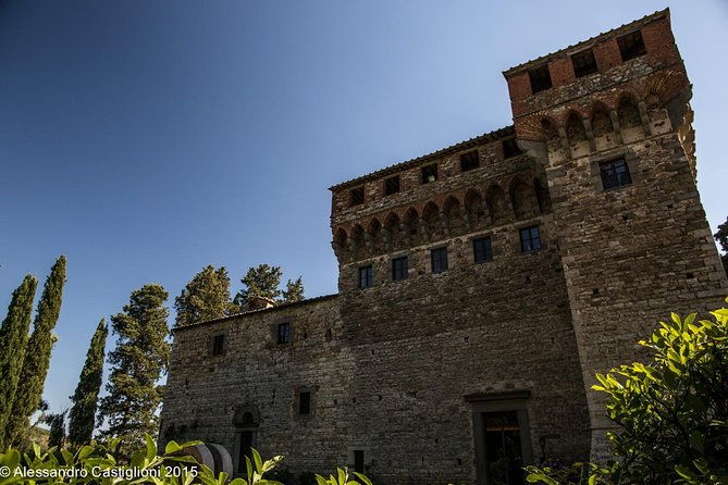 exclusive-wine-tasting-near-florence-with-castle-and-ancient-cellars-tour