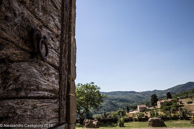 exclusive-wine-tasting-near-florence-with-castle-and-ancient-cellars-tour