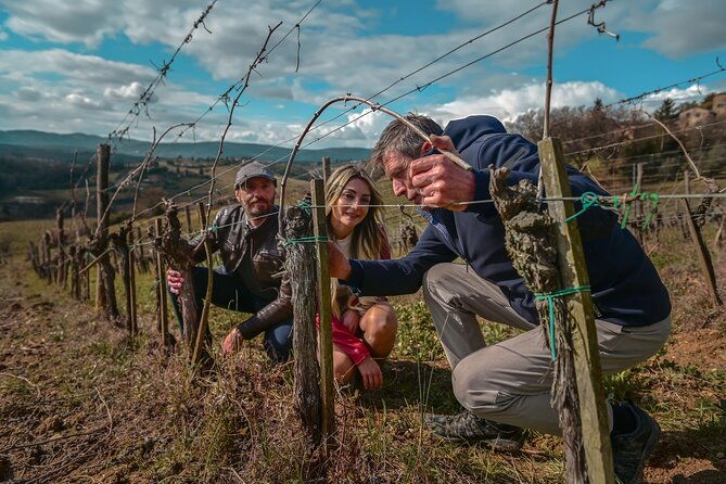 exclusive-wine-tour-and-tasting-experience-in-siena-2