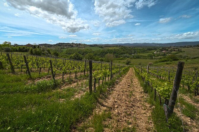 exclusive-wine-tour-and-tasting-experience-in-siena-2