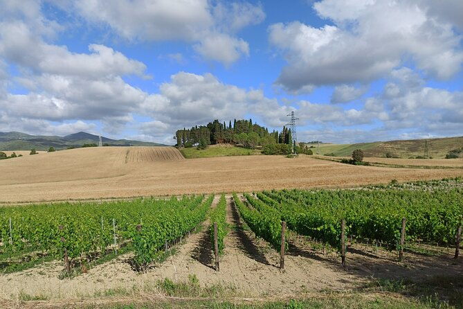 exclusive-wine-tour-in-chianti-san-gimignano-lunch-wine-tasting-included