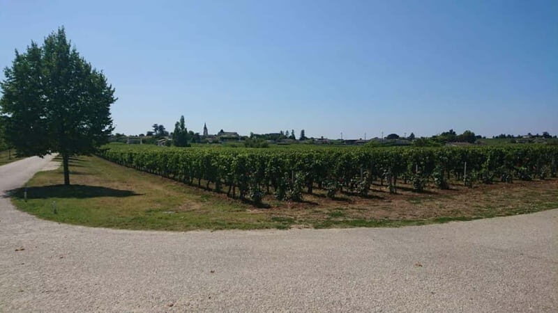 Exclusive Wine Tour of the St-Émilion Chateaux with tastings - Authenticity and Guide Expertise