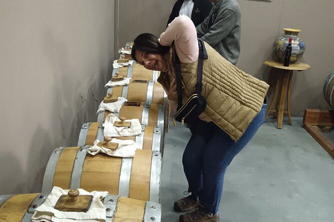 exclusive-wine-tours-through-chile-finest-valleys