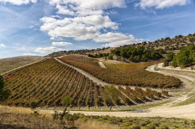 exclusive-winery-tour-and-tasting-in-the-golden-mile