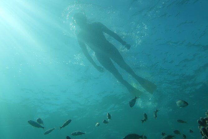 exclusively-private-snorkel-adventures-training-tours-ultimate