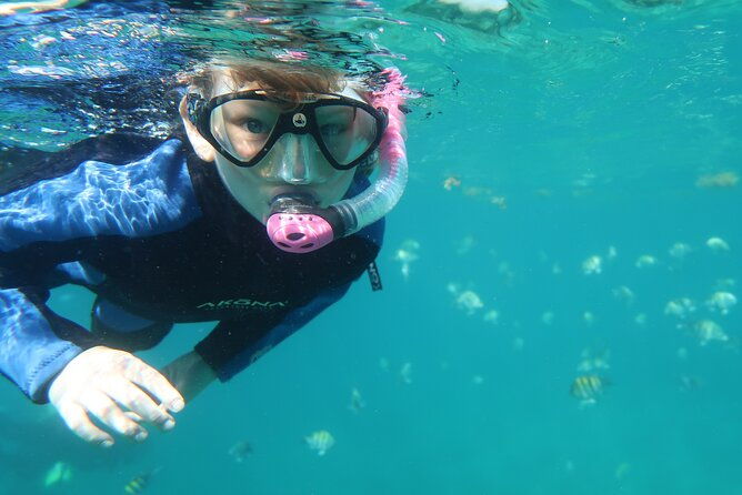 exclusively-private-snorkel-adventures-training-tours-ultimate