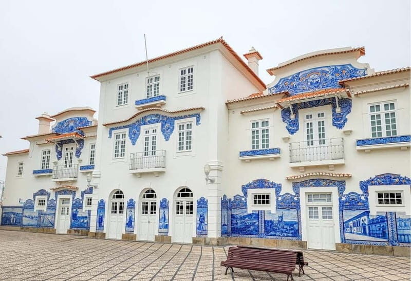 Excursion à Aveiro  Venise du Portugal+Balade en Moliceiro. - The Value and Practicalities