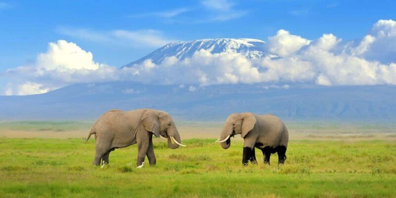 Excursion at the Iconic Amboseli National Park - Introduction: Why Amboseli?  