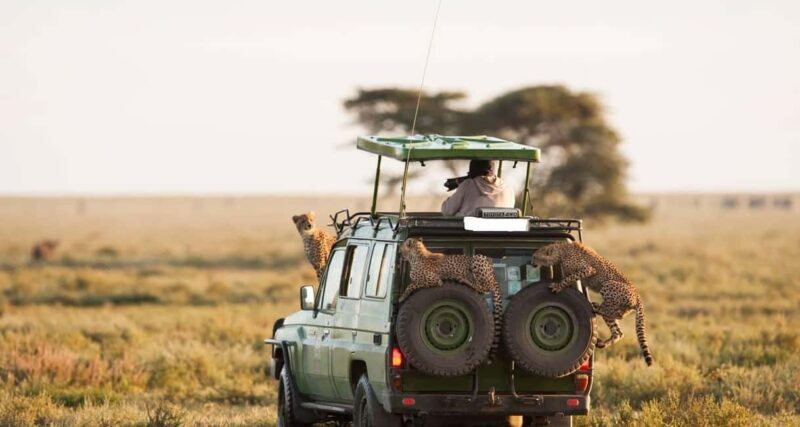 Excursion at the Iconic Amboseli National Park - What’s Included & What’s Not  