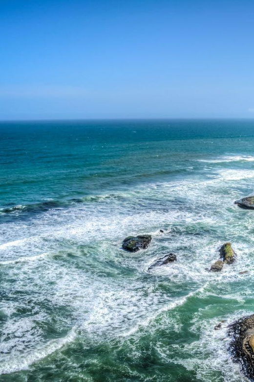 excursion-ballestas-islands-and-paracas-national-reserve-2